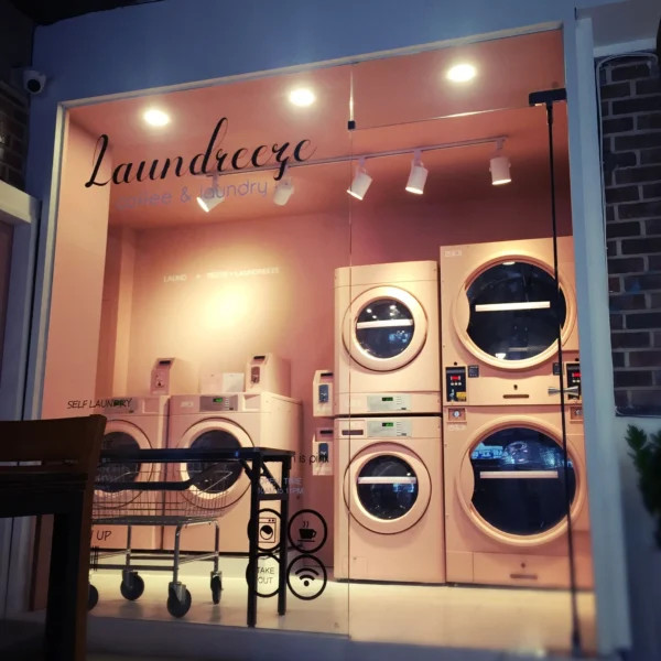 Aldeemah laundry Design 6